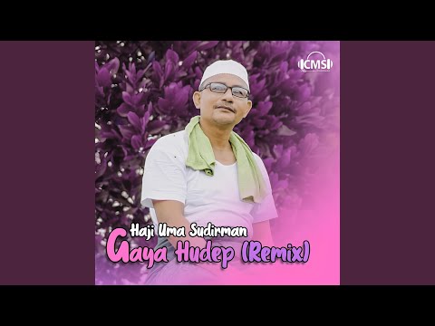 DJ Gaya Hudep (Remix)