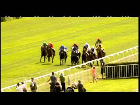 Hoppegarten: Preis der Jungheinrich Gabelstapler (Listenrennen) - Sieger: Dabbitse