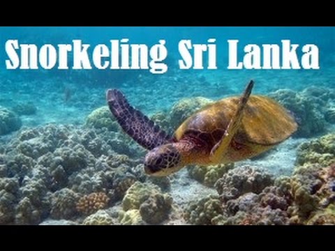 Sri Lanka Snorkeling