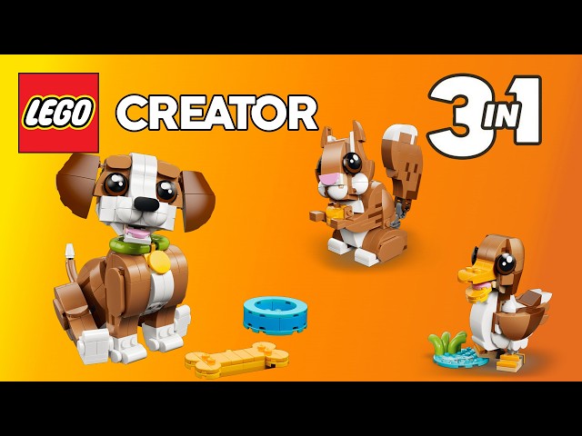 Vídeo relacionado con LEGO Creator 3en1 Simpáticos Animales: Cachorro Juguetón - Figuras de Animales Transformables en Ardilla, Pato y Perro de Juguete - Regalo de Cumpleaños para Niños y Niñas de 8+ Años - 31382