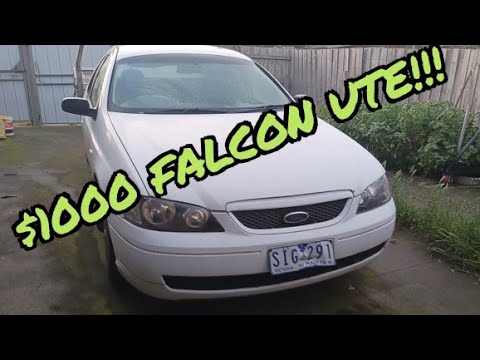 $1000 Ford Falcon Ute!!!