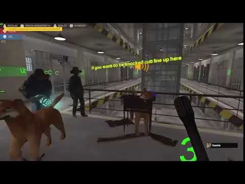 Stream: Garrys mod DDG.