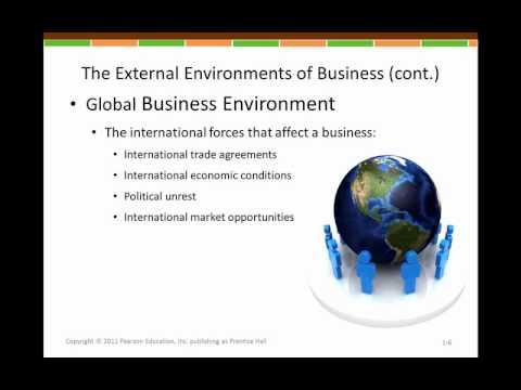 U.S. Business Environment (Part 1) | Episode 3