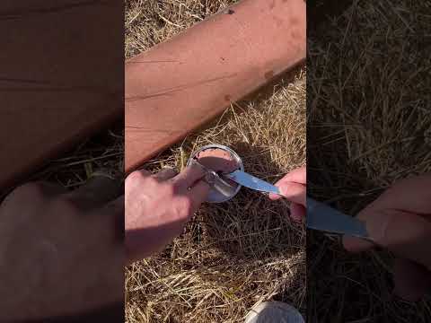 How to make the most effective 99¢ Yellowjacket trap