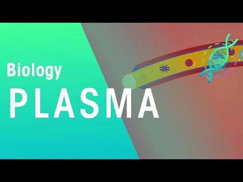 Plasma | Physiology | Biology | FuseSchool