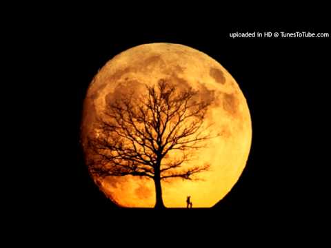 Yung $TEW No Dedication