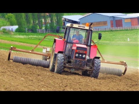 Rolling fields/*Zetor 10245*