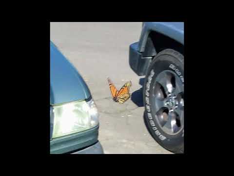 [FREE] shinigami x hyperpop x sebii type beat