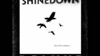 Shinedown - I Own You.wmv
