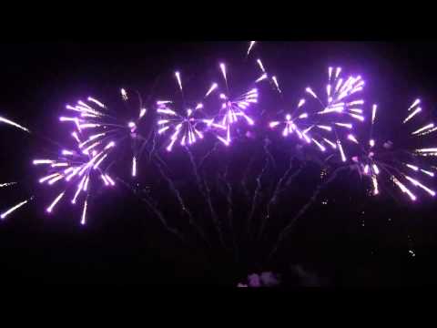 SCF91 - 49s 30mm Yellow & Purple Palms