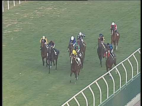 Galoppo 27/01/2018 - 4ª corsa