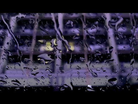 Evgeniy Nikolaev - Твой мир (Official Lyric Video)