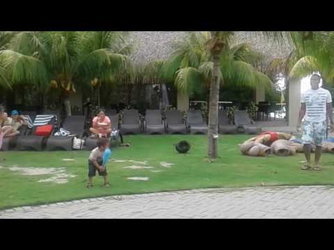 😄bateo y corrido niño de 2 años me impresiono