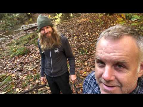 First Artifact Video of 2021