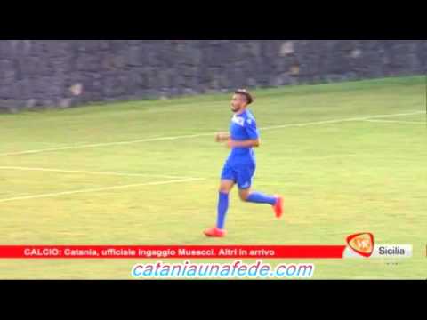 Ufficiale ingaggio Musacci, Altri in arrivo