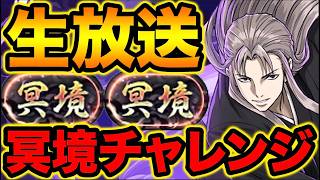 【パズドラ】冥境チャレンジ虚で遊ぶ！！！！！！！！！【スー☆パズドラ】