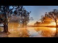 Deuter; Annette Cantor - Wind In The Trees