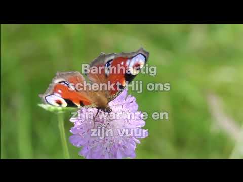 Opwekking 411 Geprezen zij de Here