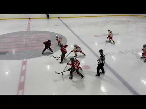 K-Kissat Cats - Jokerit Black