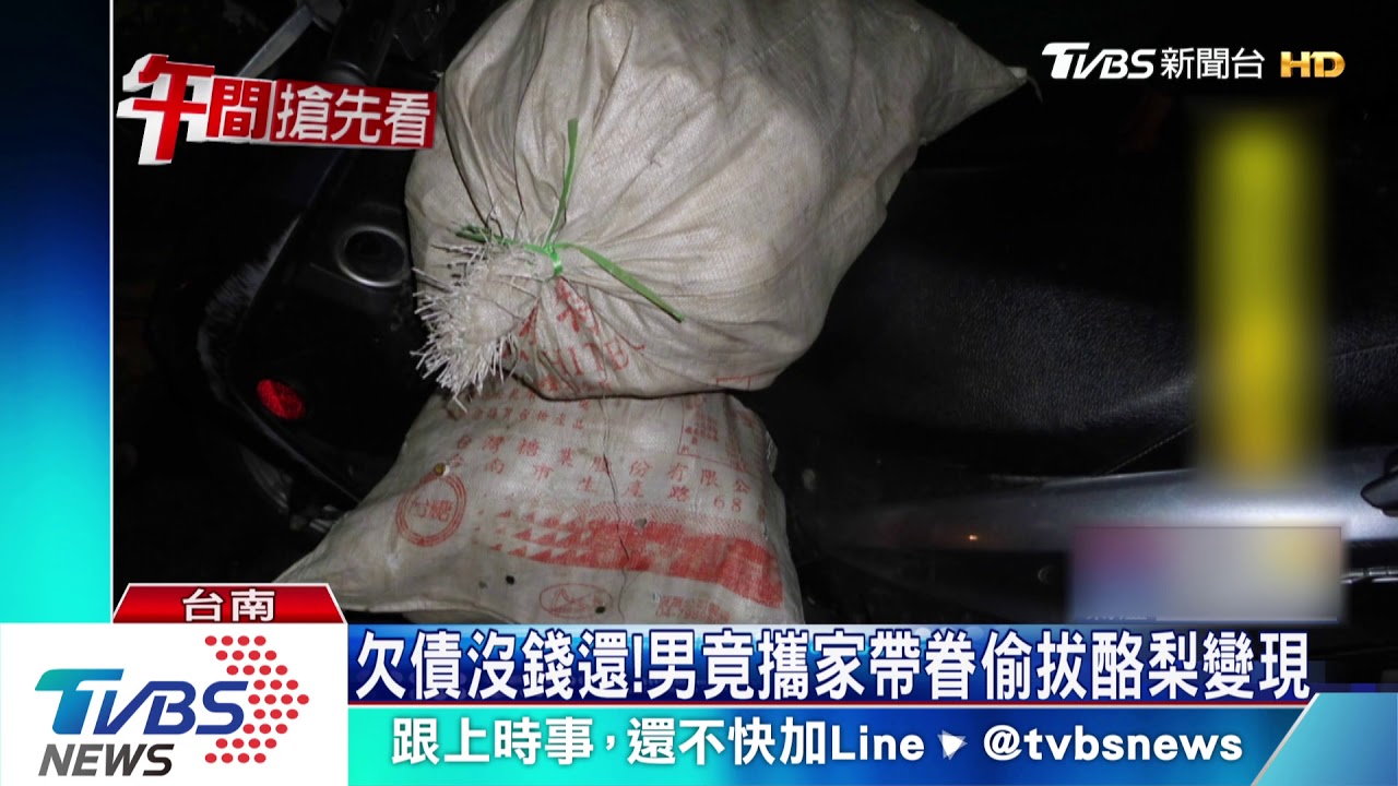 欠債沒錢還! 男竟攜家帶眷偷拔酪梨變現