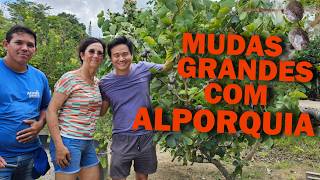 Miniatura do vídeo