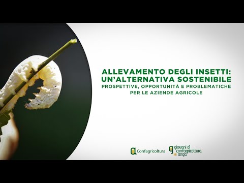 , title : 'Allevamenti degli insetti: un’alternativa sostenibile.'