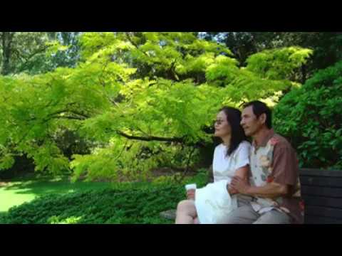 Thôi cũng đành Sheet - Thu Hằng