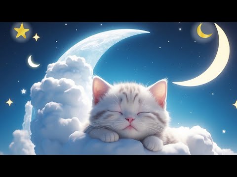 Relax In No Time video