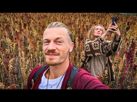 Vanlife Road trip to Norfolk