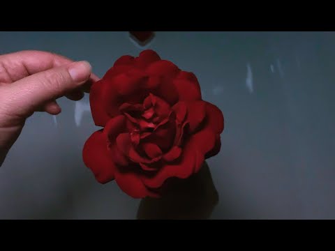 Video thumbnail for Dearest