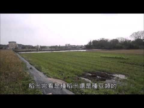 資訊工程師變農夫 種出生機農場