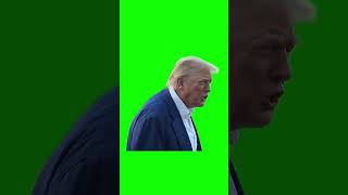 Donald Trump "they don't know what the fuck they're doing" green screen