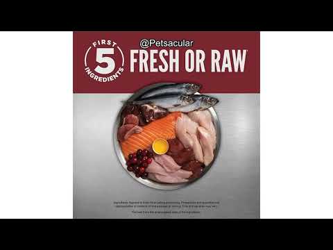 ORIJEN Small Breed Dog Food Review: High Protein, Grain-Free, Worth the Price?