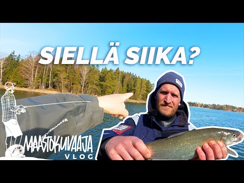 Nostetaan SIIKAA Espoossa & analysoidaan SIIKAPAIKKOJA