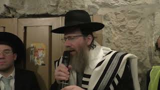 🔶🔶🔶 סיבוב שערים יום ג' דחוה''מ פסח תשפ''ה עם הגר''נ רוטמן -🔶🔶🔶