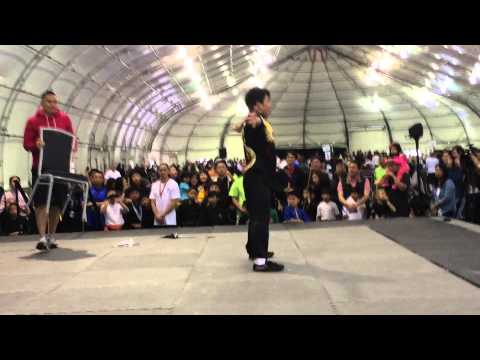 TCE 2015 Shifu Yandong Peng wildaid competition