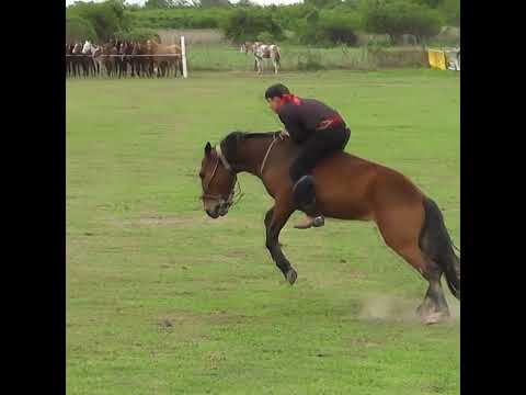 Monta en clina Dari Lucero en Colonia Mascias Santa Fe