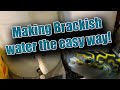 How To Make Brackish Water The Easy Way