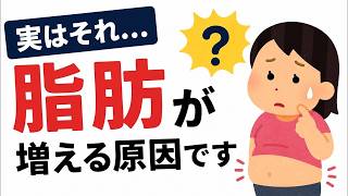 【ダイエット】努力不足じゃなかった!?ダイエット４つの原因と対策！正しく原因を理解して適切な方法で