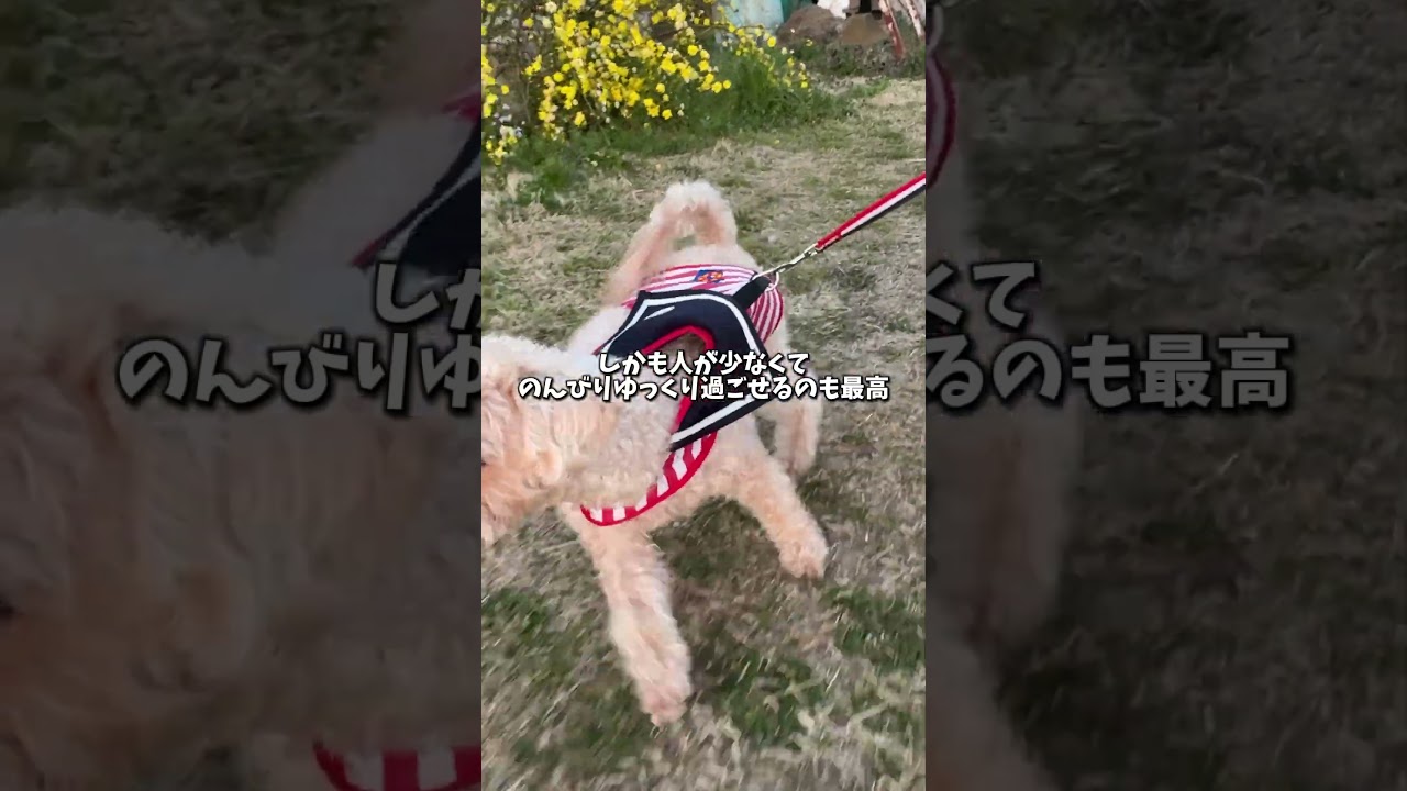 人少なめで穴場な神スポット知ってる？