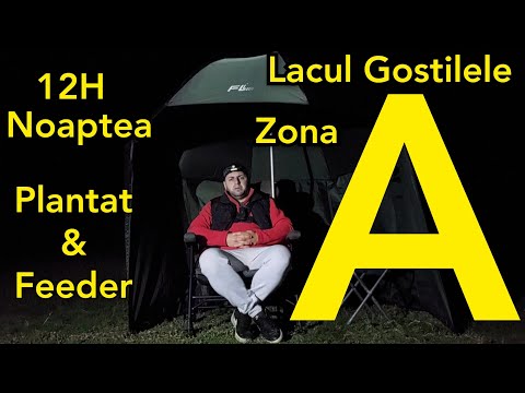 Pescuit la feeder si pescuit plantat la crap pe lacul Gostilele zona salbatica