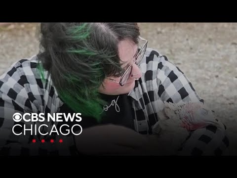 Tennessee rescue organizations use turkeys for animal-based therapy program - YouTube