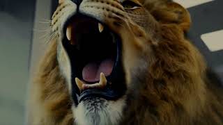 Creative Marketing Agency MARODON; Showreel 2025