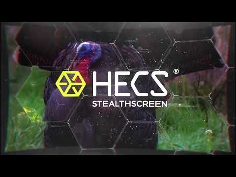 Close Quarters Turkey Action from the 2019 season