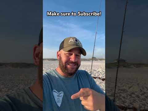 This Is Unprecedented… Don’t Miss It… 🔥🔥🔥 #shortsfeed #shortsvideo #congress #atf #langley #goa Thumbnail