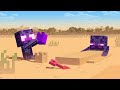 A Day At The Beach Enderman Story