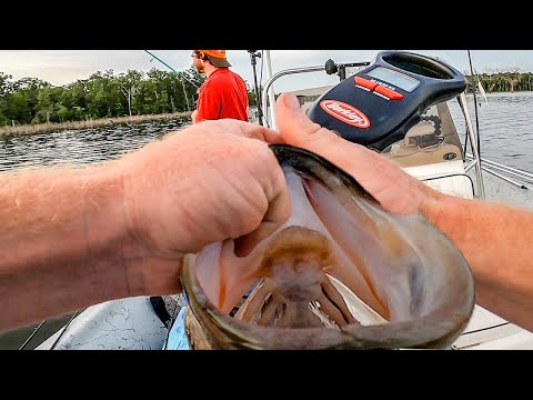 BIGGEST BASS I'VE EVER CAUGHT HERE - NEW PB