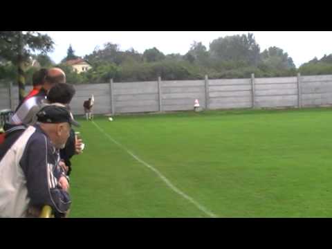 Zostrih futbalového zápasu Suchá n. P. - Špačince (31. 8. 2014)