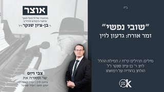 שובי נפשי | צבי וייס & גדעון לוין | אוצר מניגוני בן ציון שנקר