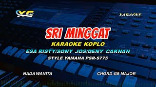 Download lagu SRI MINGGAT KARAOKE - KOPLO YAMAHA PSR - S 775 - SONY JOSS/DENY CAKNAN/ESA RISTY - Pamit Tuku Trasi mp3